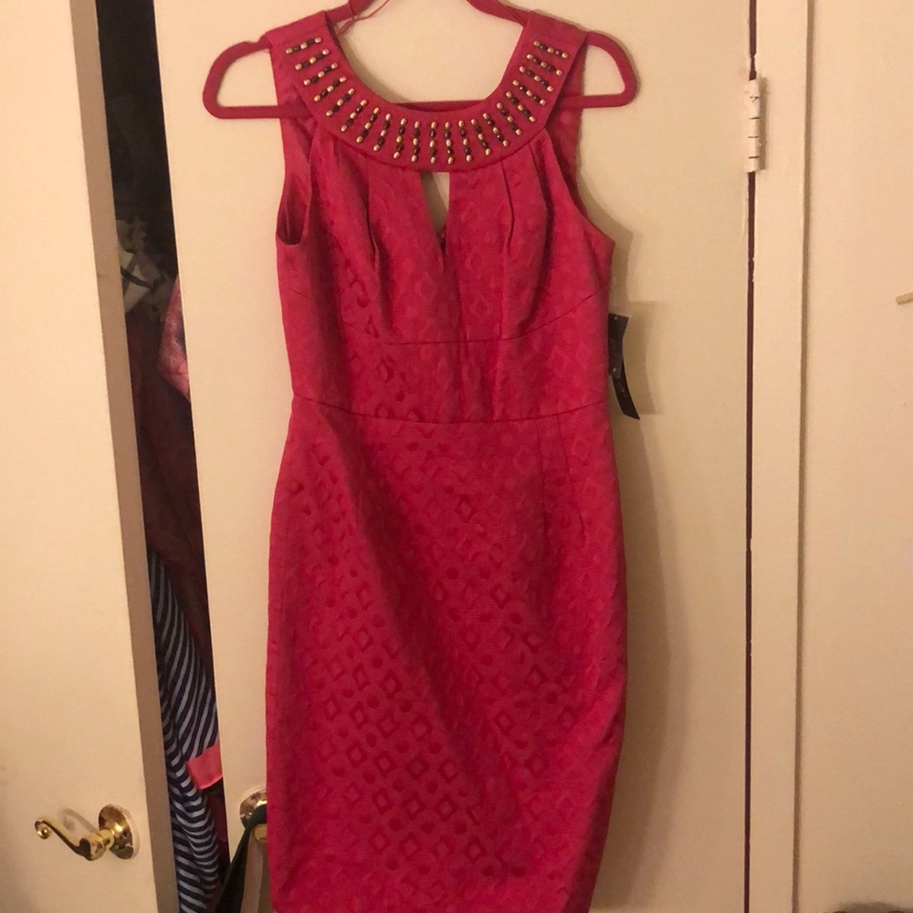 Muse pink midi dress